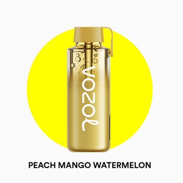 Vozol Neon 12000 Pro Peach Mango Watermelon